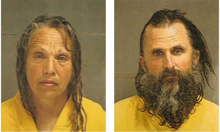 David Mitchell, affaire Elizabeth Smart